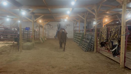 15-year-old appendix mare broke for the whole family | Hughes horse company new and used tack