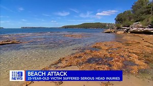 Police are searching for four men who bashed a swimmer in a daylight attack at Fairlight Beach, leaving him with critical head injuries. #9News | Nightly at 6.00pm | 9 News Sydney