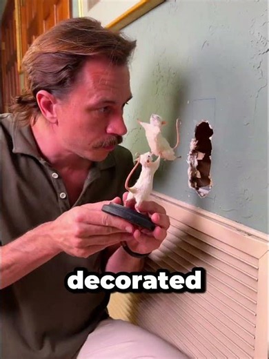 He Built a Tiny Secret Mouse House Inside His Wall! 🐭🚪