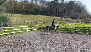 44K views · 2.3K reactions | Dream update  You may have seen the...