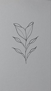 Leaf drawing | Mini Drawing