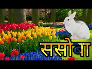 Std 3rd |Marathi Sulabh Bharti |kavita 10 Sasoba ससोबा| English medium| educational videos|Mah board