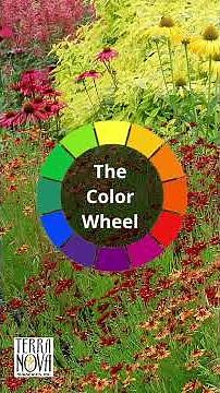 Color Theory and Garden Design TERRA NOVA® Nurseries, Inc.