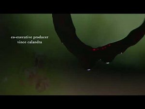 Sharp Objects Episode 2 Intro