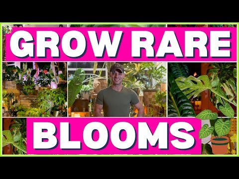 Discover How to Grow These 9 Amazing Rare Plants in Your Home