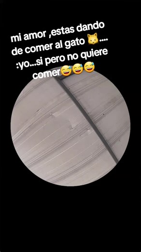 #agata 🐱 #foryoupage #humortiktok #fypシ #videoviral #apolo13🔥