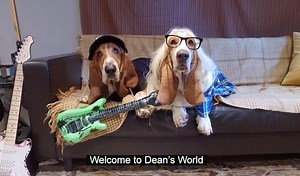 check out our new show on local cable 10. party time! excellent! | Dean The Basset