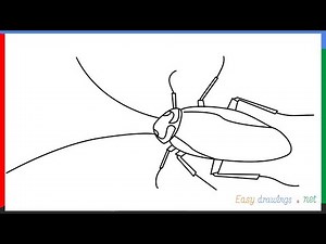 How to draw a Cockroach step by step for beginners