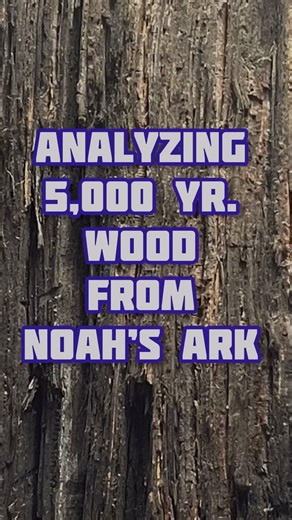 284 reactions · 46 shares | In 1969 Elfred Lee scaled Mount Ararat looking for wood claimed to be from Noah’s Ark. The wood in this video unites Lee after being separated from it for 36 years. #noahsark #ararat #archeology #bible | Lost World Museum | Facebook