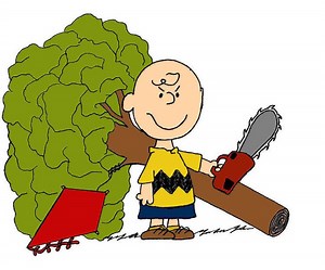 Kite Eating Tree - Alchetron, The Free Social Encyclopedia