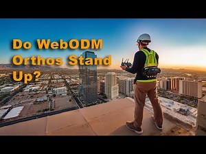 Web ODM Orthomosaic Model vs Metashape Ortho