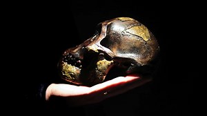 ardipithecus-ramidus-the-first-true-hominin