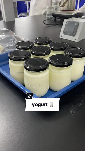 Cara Membuat Yogurt Sendiri: Proses Fermentasi dan Teknologi Pangan