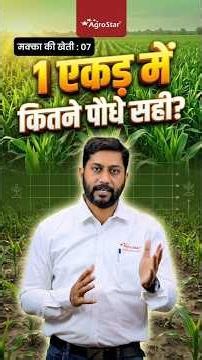 मक्का में सही पौधों की संख्या कैसे रखें? | सही दूरी और Plant Population | Makka ki kheti | AgroStar