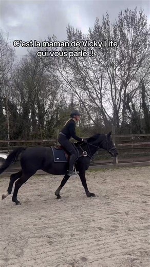 Elle devrait re faire des concours ? #cavalier #cso #equitation #cheval #motivation