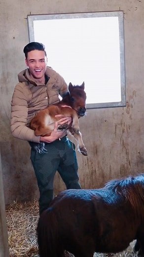 Colorful Equestrian Accessories | Horse & Pony Fashion