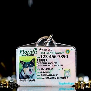 100K views · 650 reactions | Make 2020 the safest year for your dog! With our cute and fully customizable ID tags you don't have to compromise style for safety. Free Shipping and Lifetime Warranty. | TagsforHope | Facebook