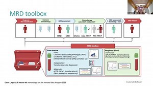 ASH 2023 Insights: "Understanding Differential Technologies for Detection of MRD in AML and How to Incorporate Into Clinical Practice"