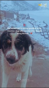 Do you know why trekking in Nepal’s Himalayas is so tough? ⛰️🇳🇵#nepal #shorts #mountaindog