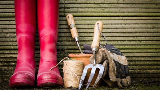 It's time for spring gardening - here's everything to do including pruning tips