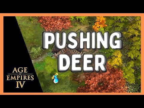 How to PUSH DEER | Age of Empires 4 HINTS and TIPS