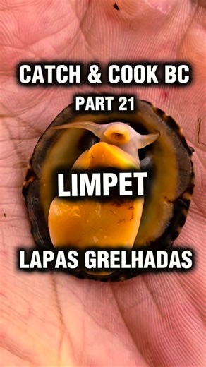 JP on Instagram: "🪸🔥 CATCH & COOK — Lapas Grelhadas with Garlic, Lemon, and Wild Herb Butter 🌊🍋✨ From tidepool to table: I gathered limpets clinging to the coastal rocks — humble, stubborn little mollusks — and turned them into lapas grelhadas, a Madeiran classic. Grilled over open flame until they sizzle in their shells, kissed with garlic, lemon, and herbs, they taste like the ocean distilled — smoky, briny, and alive. The texture? Chewy yet tender, like a scallop that’s learned resilience
