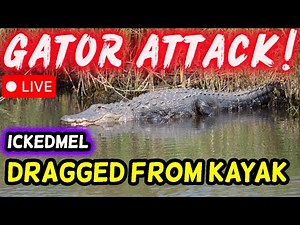 ALLIGATOR ATTACK! Kayaker Dragged Into Lake at Kissimmee State Park | Florida Wildlife Alert