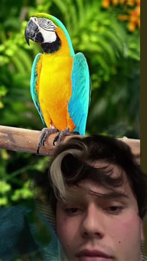 #shesa10but ￼#random