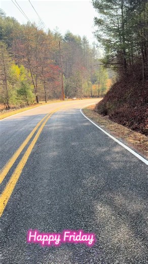 Explore the Beauty of the NC Mountains