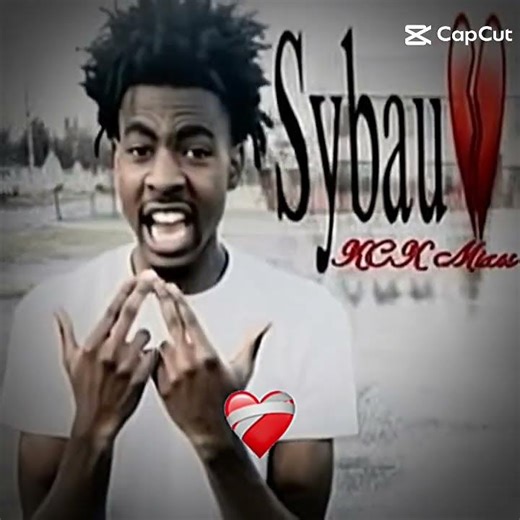 lol stupid emoji cat