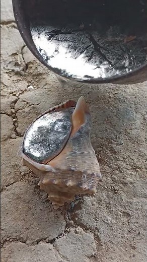 Sculpting Aluminum Shells: Nature's Beauty Restored #viralvideo #art #restoration #aluminum