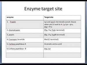 Proteolytic cleavage of peptide