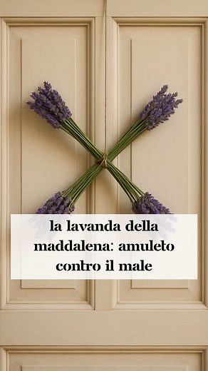 Lavanda della Maddalena: Amuleto e Tradizione Popolare