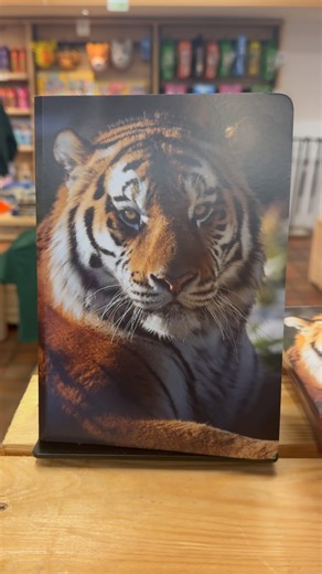 Fallen in love with our tiger cubs?🐯 Our Safari Gift Shop is full of tiger-inspired goodies - from plush pals and mugs to clothing and keepsakes. Don’t leave without finding your purr-fect souvenir! #KnowsleySafari #TigersOfKnowsley #SafariGiftShop #WildlifeInspired | Knowsley Safari