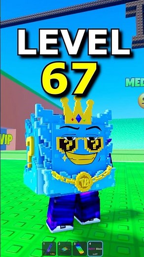 Level 67 Admin Block in Escape Tsunami for Brainrots Roblox