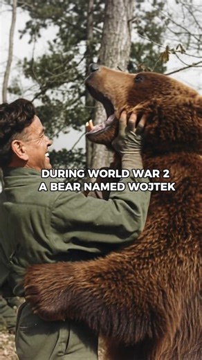 This WWII Bear Was Actually Enlisted in the Army #history #ww2