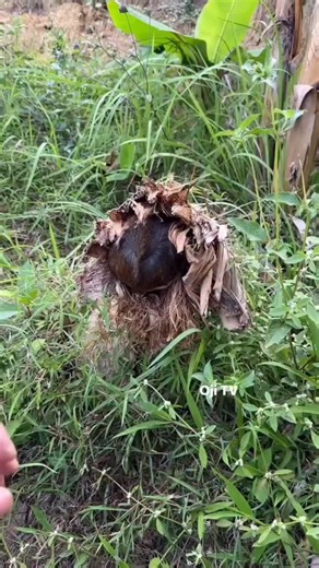 #BalliBotMogis #TrendingReels #TrendingReels #Foryoupage ##FYP #FYP #ViralTikTok #MillionViews #TechMagic #SmartBot #AITrend #RobotVibes #Innovation#ForYou #ViralVideo #TikTok#ExposePoint