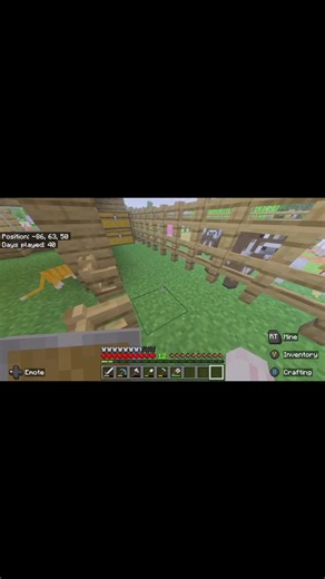 Struggling to Keep My Pets Entertained in Minecraft