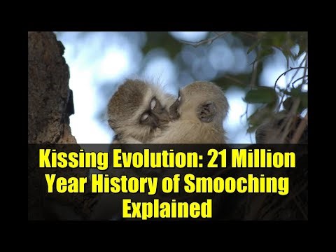 Kissing Evolution: 21 Million Year History of Smooching Explained