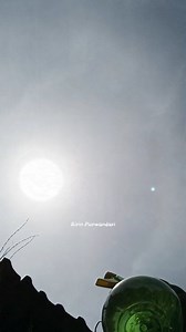 Looking for a unique way to grow mini orchids? Driftwood mounting is the answer.. ☺ #miniorchid #orchidmounting #driftwoodfororchid #orchidcare #orchidtips #DIYorchid #plantlovers #orquideas #orquídeas | Ririn Purwandari