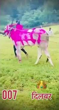 किंग दिलबर👑🔥💪