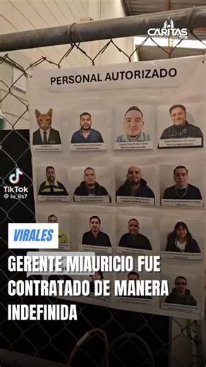 Radio Cáritas UC on Instagram: "#Virales | Gerente Miauricio fue contratado de manera indefinida 😺Una empresa mexicana contrató a un nuevo trabajador, el ingeniero Miauricio, quien fue rescatado y adoptado por el equipo, pero no solo quedó como una mascota; lo contrataron oficialmente como gerente de apoyo emocional. 🐈Miauricio acompaña a los funcionarios en momentos de estrés, aparece en reuniones importantes y envía cero correos innecesarios. ¿Y vos necesitás un gerente de apoyo emocional en
