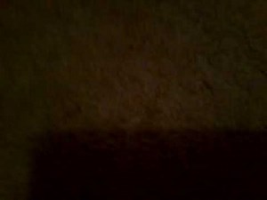 Koopalings ages youngest to oldest