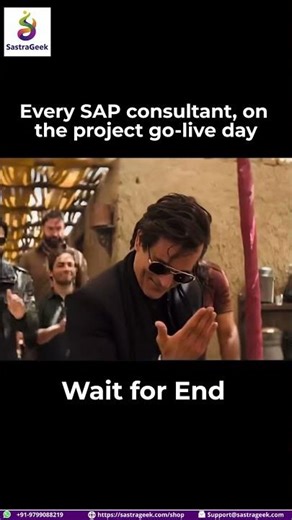 Every SAP Consultant on Go-Live Day