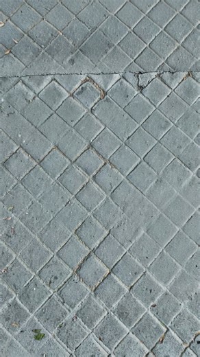 From one show to the next - the style that lives between the runway and the street. | H&M