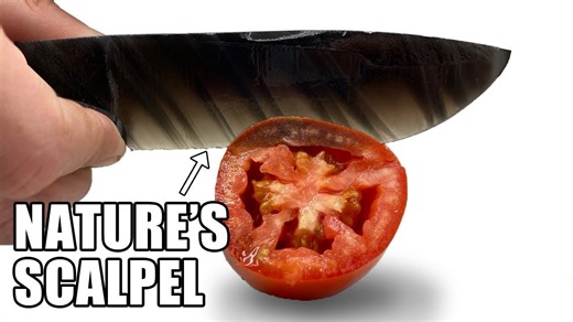 World’s sharpest obsidian knife