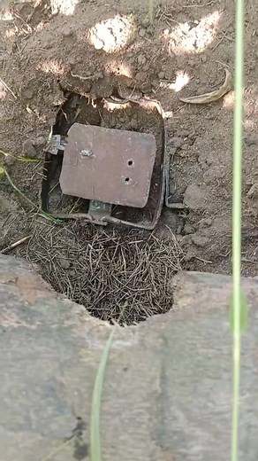 585K views · 8.3K reactions | Hey beautiful people so I said I should...