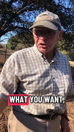 part 2Farmer talks about the sale barn #farm #cow #farmer #cattle #farming. | The Farm of Cussing