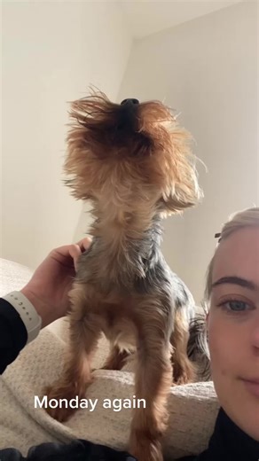 Karis McCallum on TikTok