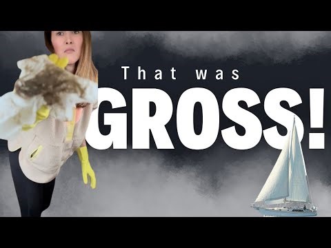 This Sailboat Was Too Dirty to Refit — So We Started Here | Ep. 10